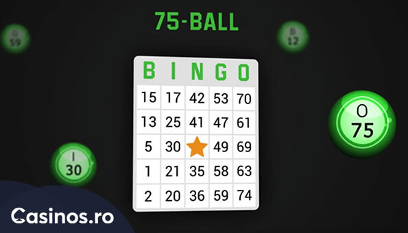 bingo pe casinos.ro