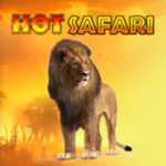 Hot Safari Logo