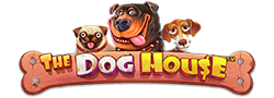 190 pacaneaua The Dog House slot gameplay