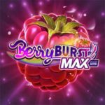 Berryburst MAX Logo