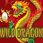 Red Dragon Wild Logo
