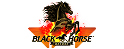116 slot black horse deluxe gameplay
