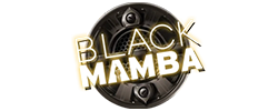 185 pacaneaua Black Mamba slot gameplay