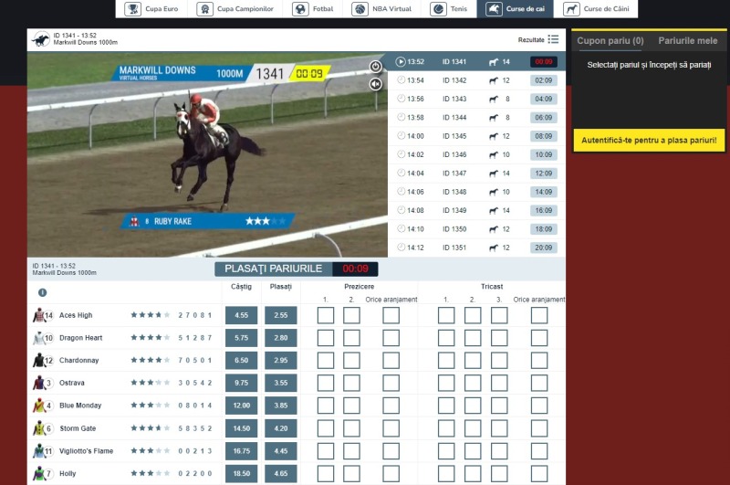 Vlad Cazino pariuri pe virtuale curse de cai