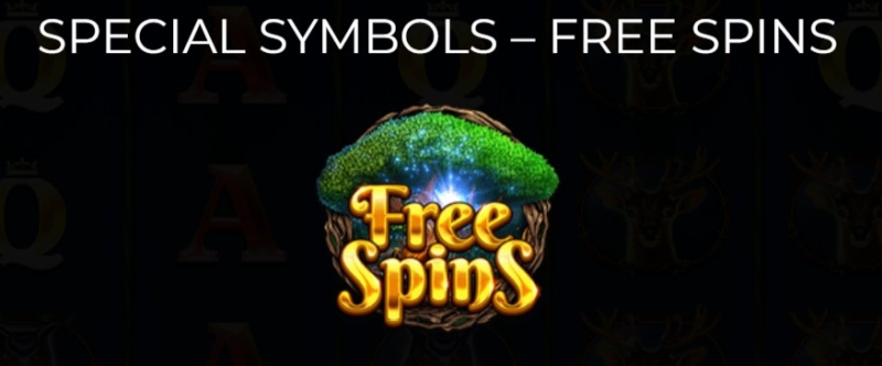 Queen of the Forest simbol scatter copac free spins functie rotiri gratuite