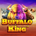Buffalo King Logo